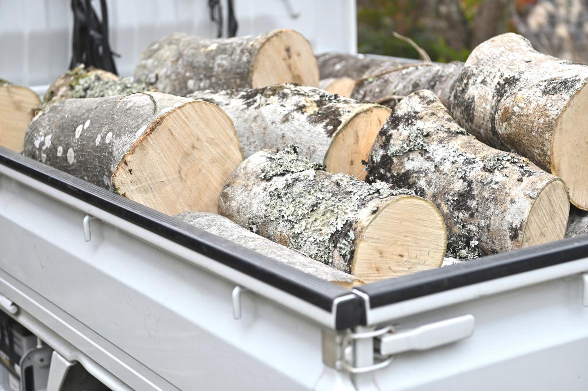 zöldhulladék elszállítás Szigethalom, zoldhulladek elszallitas szigethalom